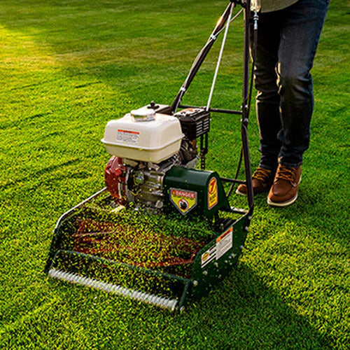 Classic Standard 20 in. 7-Blade Gas Walk Behind Lawn Mower