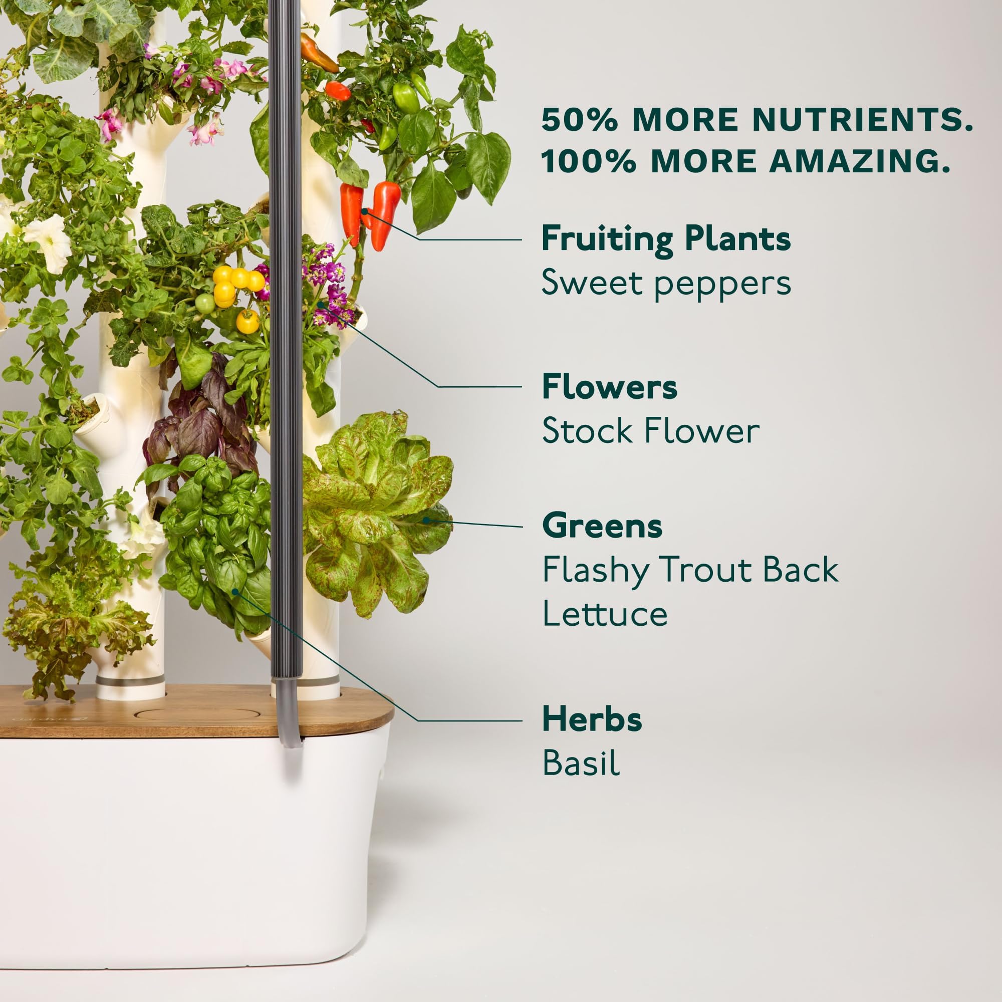 Home 4 Vertical Hydroponics Growing System Kit - 30 Plants