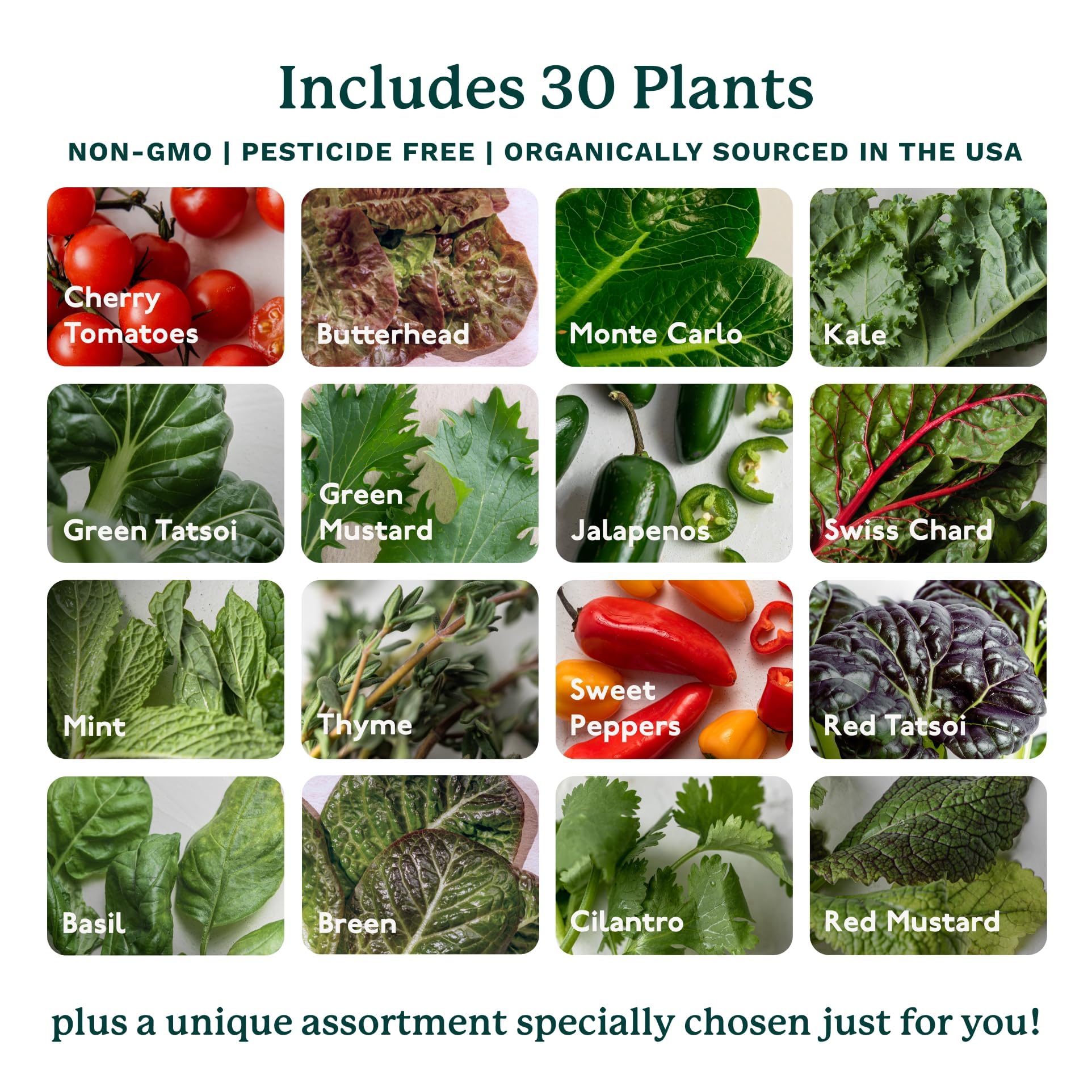 Home 4 Vertical Hydroponics Growing System Kit - 30 Plants