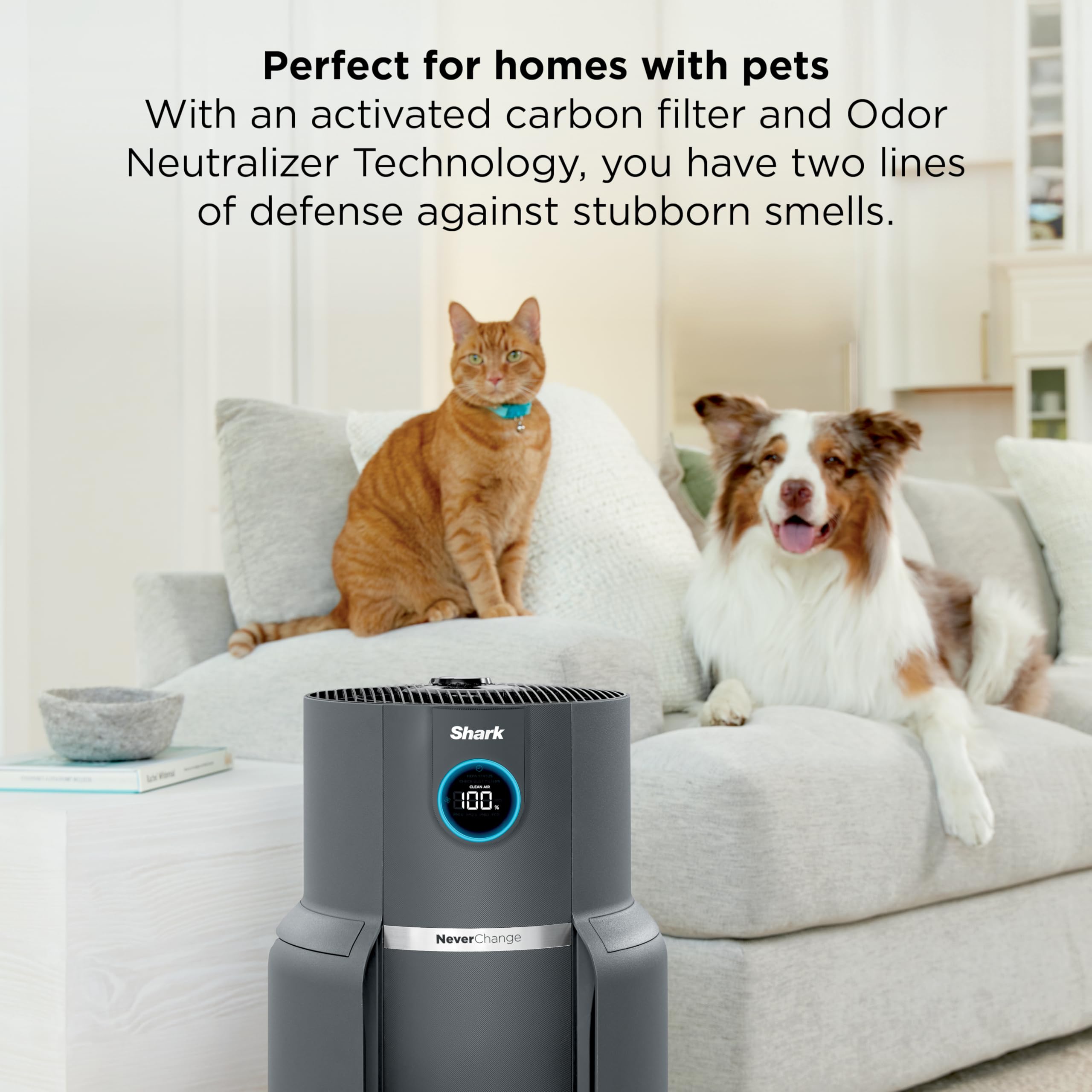 NeverChange Air Purifier Max with Odor Neutralizer, HP302, Dove