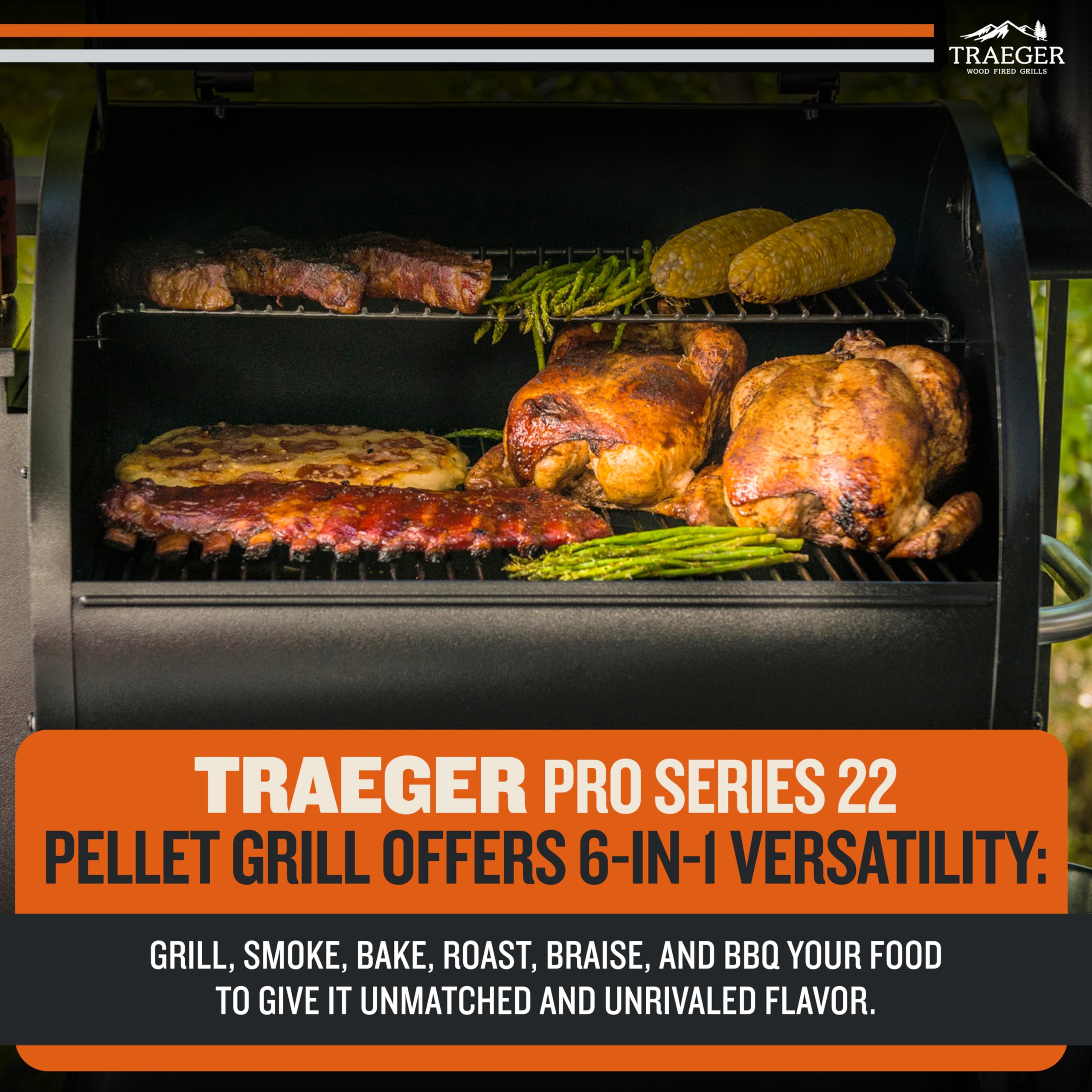 Traeger Pro 22 Wood Pellet Grill & Smoker, 572 Sq In, WiFi